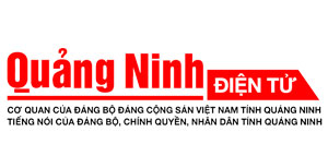 THỂ THAO 第142页