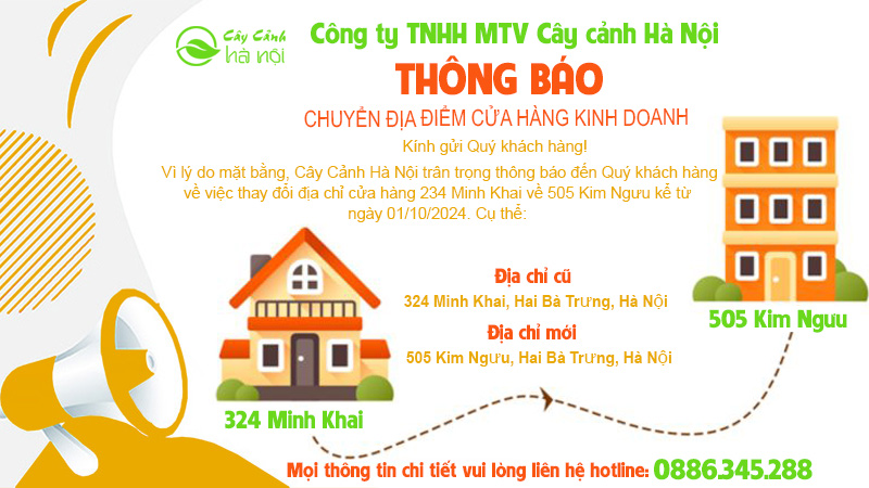 đánh bài thưởng lớn Hồ Chí Minh tìm hiểu